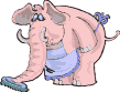 elephant028
