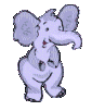 elephant031