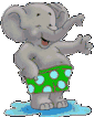 elephant036