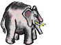 elephant038