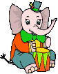 elephant048