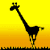 giraffe010
