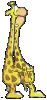giraffe012