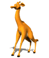 giraffe016