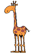 giraffe020