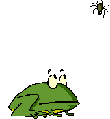 grenouille013