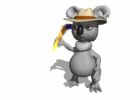 koala006