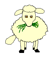 mouton001