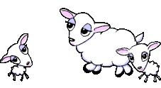 mouton012