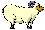 mouton022