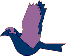 oiseaux gif 044