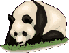 anim panda11