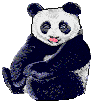 panda015