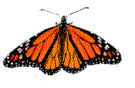 papillon gif 022