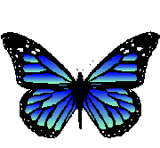 papillon gif 041