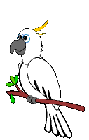 perroquet gif 019