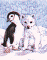 pingouin001