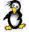 pingouin004