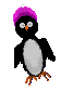 pingouin005