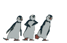 pingouin008