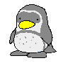 pingouin018