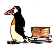 pingouin019