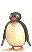pingouin028