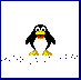 pingouin031