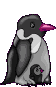 pingouin035