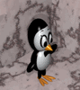pingouin038