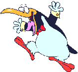 pingouin042