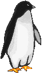 pingouin043
