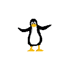 pingouin048