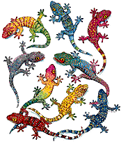 animaux reptiles014