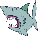 requin gif 003