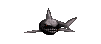 requin gif 010