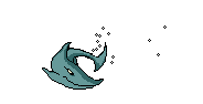 requin gif 015
