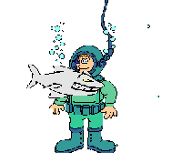 requin gif 019