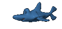 requins004