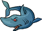 requins013