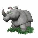 rhinoceros gif 001