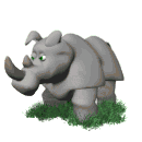 rhinoceros011