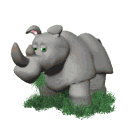 rhinoceros014