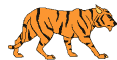 tigre007