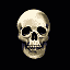 040322 skull