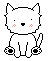 chat blanc 10