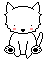 chat blanc 2