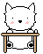 chat blanc 7