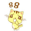 chat jaune 13