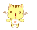 chat jaune 9
